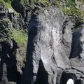 ゴジラ岩観光の写真_213814
