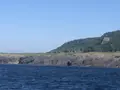 ゴジラ岩観光の写真_213815