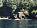 ゴジラ岩観光の写真_213816
