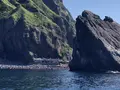 ゴジラ岩観光の写真_213819