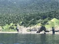 ゴジラ岩観光の写真_213821