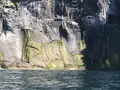 ゴジラ岩観光の写真_213822