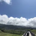 知床五湖の写真_213825