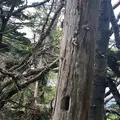 知床五湖の写真_213826