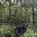 知床五湖の写真_213827