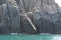 ゴジラ岩観光の写真_213886