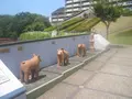史跡新池ハニワ工場公園の写真_214107