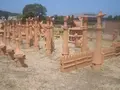 今城塚古墳の写真_214113