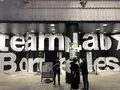 【閉業】森ビルデジタルアートミュージアム：エプソン チームラボボーダレス（MORI Building Digital Art Museum: EPSON teamLab Borderless）の写真_214206