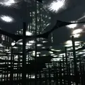 【閉業】森ビルデジタルアートミュージアム：エプソン チームラボボーダレス（MORI Building Digital Art Museum: EPSON teamLab Borderless）の写真_214207