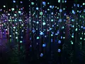 【閉業】森ビルデジタルアートミュージアム：エプソン チームラボボーダレス（MORI Building Digital Art Museum: EPSON teamLab Borderless）の写真_214208