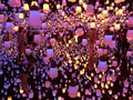 【閉業】森ビルデジタルアートミュージアム：エプソン チームラボボーダレス（MORI Building Digital Art Museum: EPSON teamLab Borderless）の写真_214211