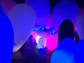 【閉業】森ビルデジタルアートミュージアム：エプソン チームラボボーダレス（MORI Building Digital Art Museum: EPSON teamLab Borderless）の写真_214221