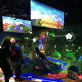 【閉業】森ビルデジタルアートミュージアム：エプソン チームラボボーダレス（MORI Building Digital Art Museum: EPSON teamLab Borderless）の写真_214227