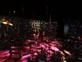 【閉業】森ビルデジタルアートミュージアム：エプソン チームラボボーダレス（MORI Building Digital Art Museum: EPSON teamLab Borderless）の写真_214229