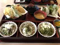 天然温泉白井の湯の写真_214506