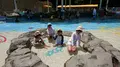 海ほおずきの写真_214632