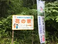 おおかみこどもの花の家の写真_214767
