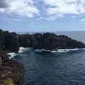 城ヶ崎海岸の写真_214806