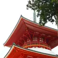 壇上伽藍の写真_214896