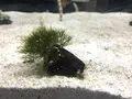 すみだ水族館の写真_214937