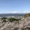 【閉業】パノラマの写真_215062