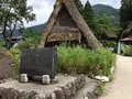 白川の写真_215200