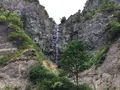 白川の写真_215201