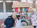 越後妻有交流館キナーレの写真_215270
