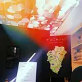 ザおこめショーの写真_215292