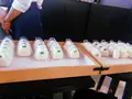 ザおこめショーの写真_215294