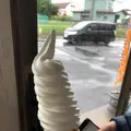 野澤商店の写真_215405