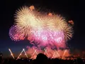 長岡まつり大花火大会の写真_215545