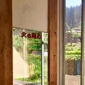 絵本と木の実の美術館の写真_215604