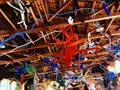 絵本と木の実の美術館の写真_215616