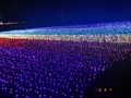 アパリゾート上越妙高の写真_215664