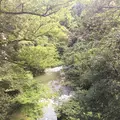 鶴仙渓の写真_215946