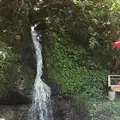 鶴仙渓　川床の写真_215949