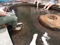 足湯 湯楽里の写真_216028