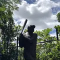 八木山動物公園フジサキの杜の写真_216154