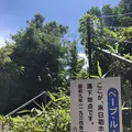 八木山動物公園フジサキの杜の写真_216155