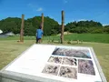 縄文真脇遺跡の写真_216285