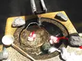 和倉温泉総湯の写真_216309