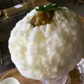 山猫の写真_216349