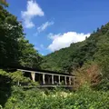 山猫の写真_216350