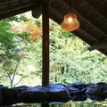 渓谷別庭 もちの木の写真_216359