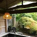 渓谷別庭 もちの木の写真_216360