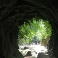 金神の滝の写真_216370