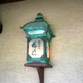 梅くらの写真_216504