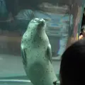 旭川市 旭山動物園の写真_216554